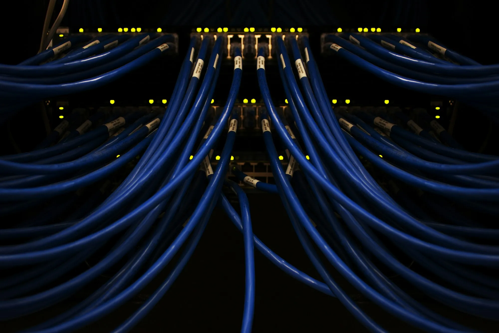 Blue network cables connected to a switch